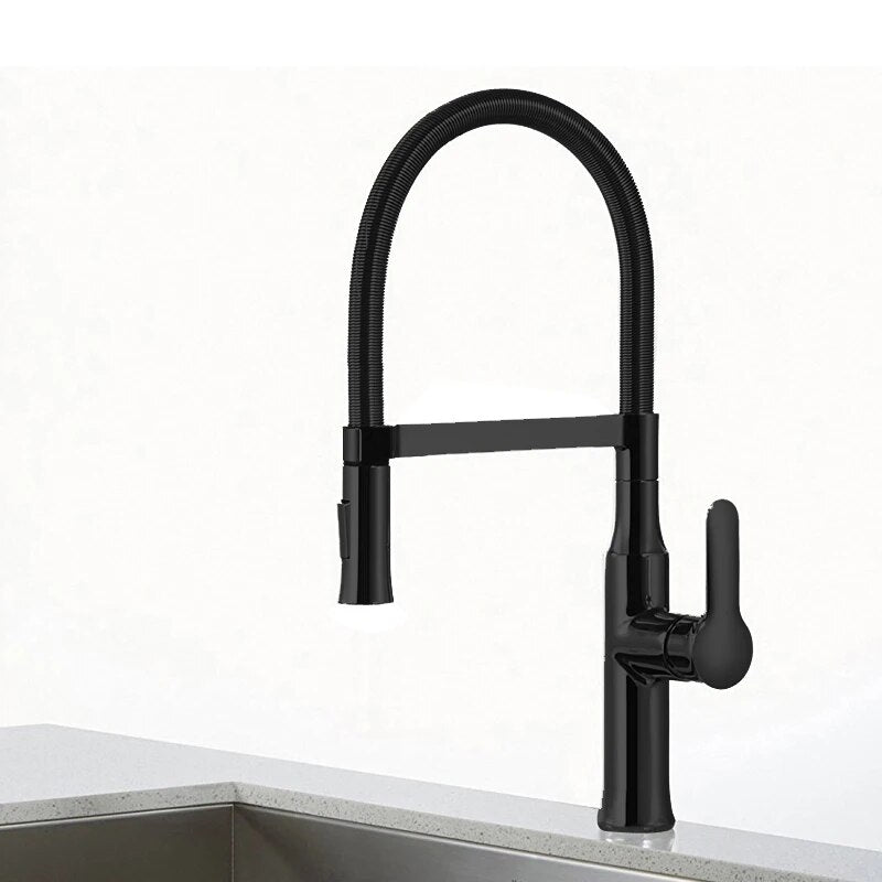 Robinet Cuisine Douchette - Loneo