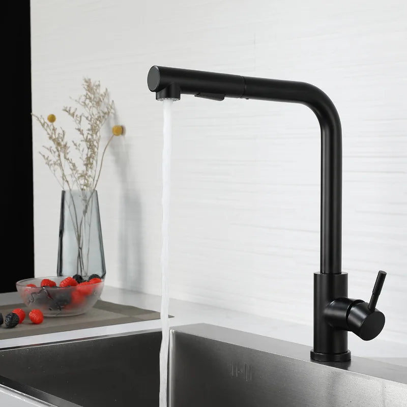 Douchette Robinet Cuisine Noir
