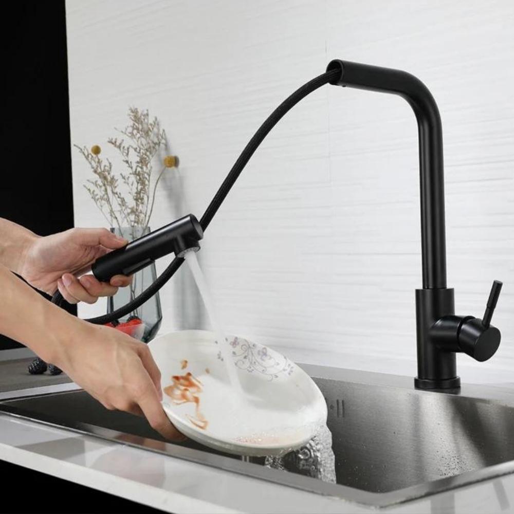 Douchette Robinet Cuisine Noir