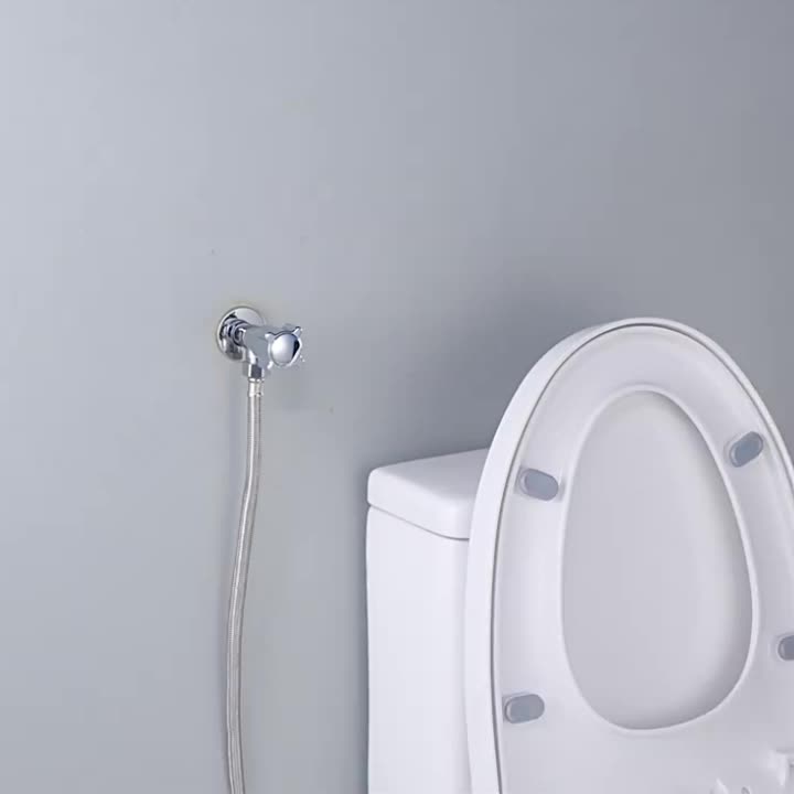 Douchette à douchette en acier inoxydable, acier inoxydable